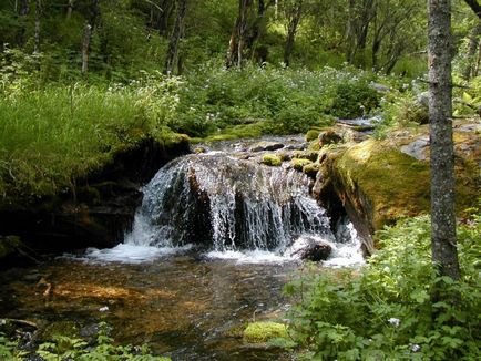 Apă în valoare naturală, circulație, purificare