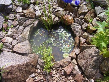 Водойма дренаж зайвої води