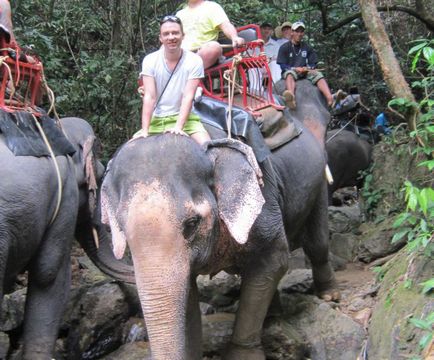 Враження від катання на слонах в Таїланді