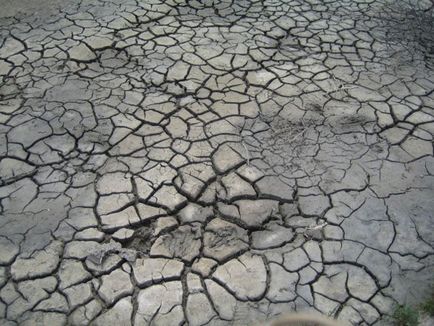 Lake Khanskoye, Yeisk, Oroszország leírás, fényképek, amely a térképen, hogyan juthat