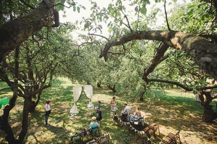 Apple-copac grădină de nunta de la darvi și pavaj