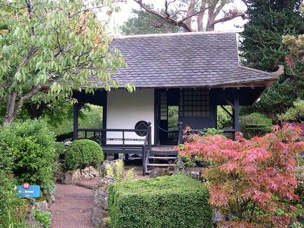 Casa japoneză de ceai cu mâinile lor