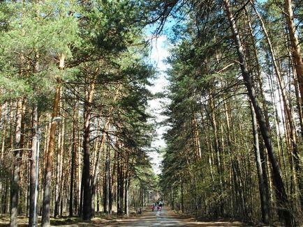 Parcul Zaeltsovsky, Novosibirsk