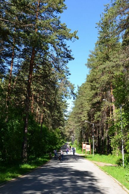 Заельцовский парк в Новосибірську