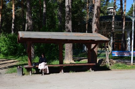 Parcul Zaeltsovsky din Novosibirsk