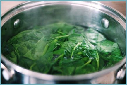 Заготівля шпинату на зиму заморозка і інші рецепти приготування в домашніх умовах