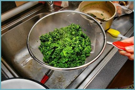 Заготівля шпинату на зиму заморозка і інші рецепти приготування в домашніх умовах