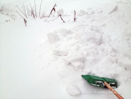 Téli tippek hó menedéket növények