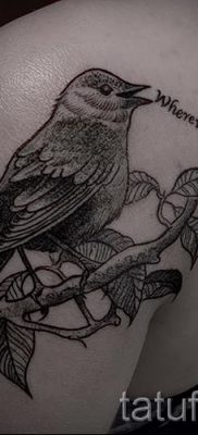 Înțeles bullfinch tattoo meaning, history and examples of tattoos ready for photo