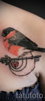 Înțeles bullfinch tattoo meaning, history and examples of tattoos ready for photo