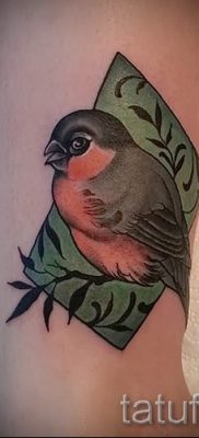 Înțeles bullfinch tattoo meaning, history and examples of tattoos ready for photo