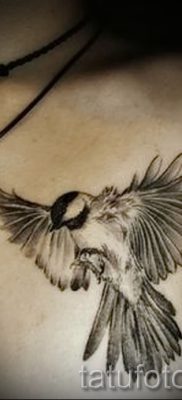 Înțeles bullfinch tattoo meaning, history and examples of tattoos ready for photo