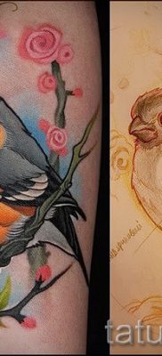 Înțeles bullfinch tattoo meaning, history and examples of tattoos ready for photo