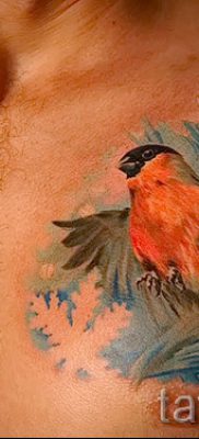 Înțeles bullfinch tattoo meaning, history and examples of tattoos ready for photo