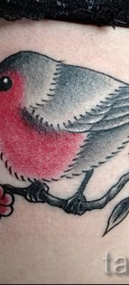 Înțeles bullfinch tattoo meaning, history and examples of tattoos ready for photo