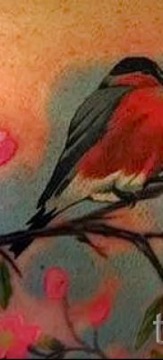 Înțeles bullfinch tattoo meaning, history and examples of tattoos ready for photo