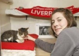Celebrata pisica Enfield cauta proprietarul - fetele despre fotbal