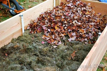 10 Idei, ce să faci cu frunzele toamnei căzute
