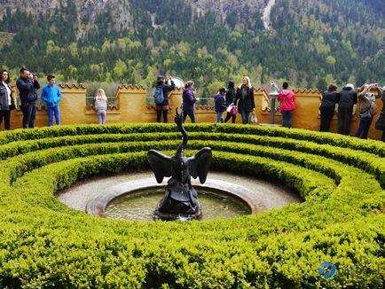 10 Interesante despre castelul Noischwanstein