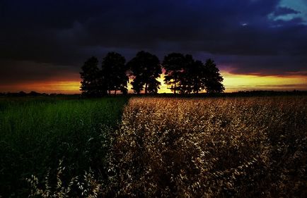 10 legjobb kortárs fotósok a különböző műfajok - A világ érdekes (modern) 10 legjobb kortárs fotósok a különböző műfajok - a világ érdekes