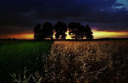 10 fotografi de cele mai bune contemporane de diferite genuri - în lumea de interesante