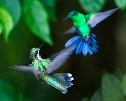 10 fotografi de cele mai bune contemporane de diferite genuri - în lumea de interesante