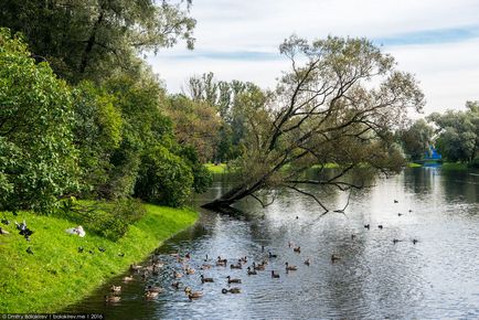 10 Причин переїхати в питер, fresher - найкраще з рунета за день!