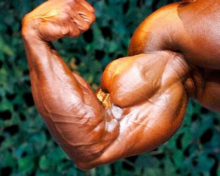10 consilii pentru studiul efectiv al bicepsului, bartendaz