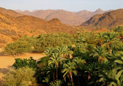 12 Oaze cele mai incredibile ale deșertului
