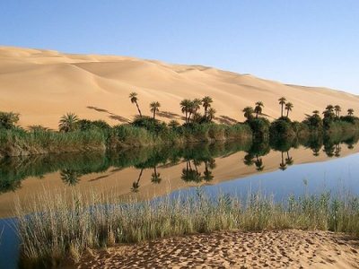 12 Самих неймовірних оазисів пустелі