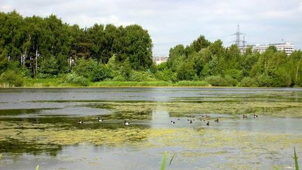 15 Місць в москві і Підмосков'ї, де можна порибалити на вихідних