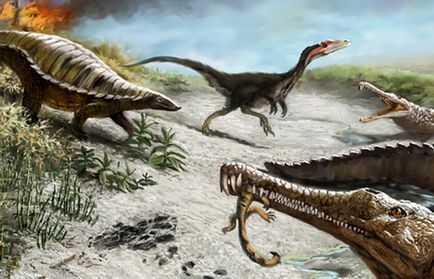 25 Diverse fapte curioase despre animalele preistorice care au trăit pe planeta noastră