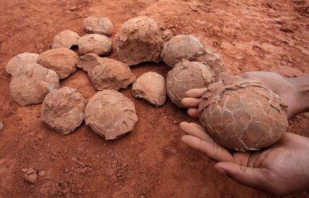 25 Érdekes, érdekes tényeket közöl a őskori állatok élt bolygónkon