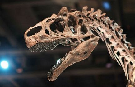 25 Цікаво-цікавих фактів про доісторичних тварин, що мешкали на нашій планеті