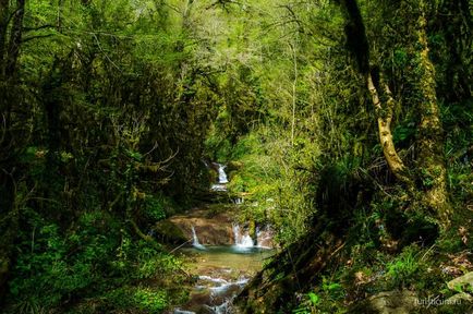 33 Cascade în districtul Lazarevsky din Sochi, limita naturală dzhegosh