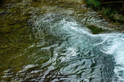 33 Cascade în districtul Lazarevsky din Sochi, limita naturală dzhegosh