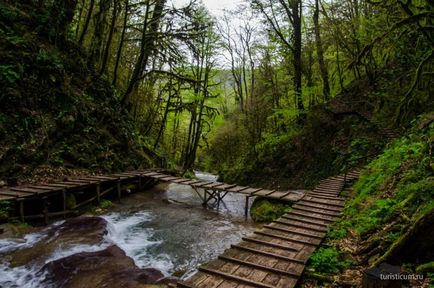 33 Cascade în districtul Lazarevsky din Sochi, limita naturală dzhegosh