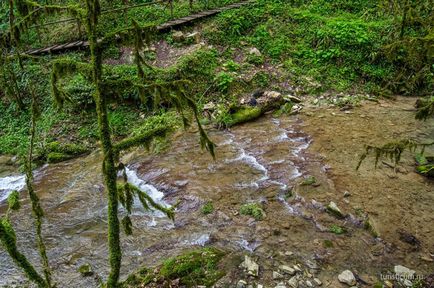 33 Cascade în districtul Lazarevsky din Sochi, limita naturală dzhegosh