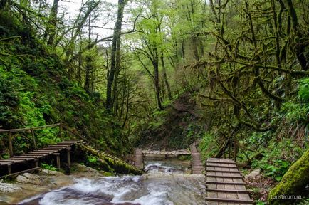 33 Cascade în districtul Lazarevsky din Sochi, limita naturală dzhegosh