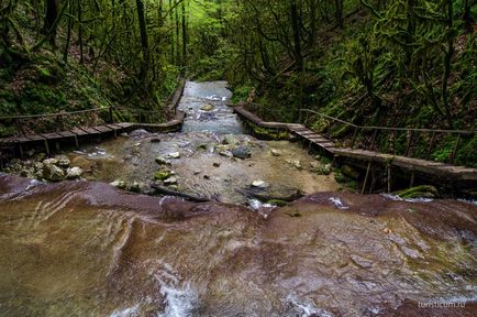 33 Cascade în districtul Lazarevsky din Sochi, limita naturală dzhegosh