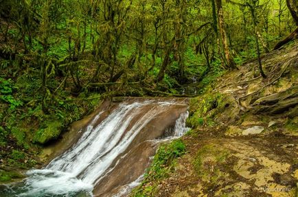 33 Cascade în districtul Lazarevsky din Sochi, limita naturală dzhegosh