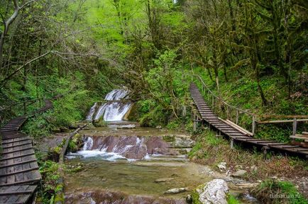 33 Cascade în districtul Lazarevsky din Sochi, limita naturală dzhegosh