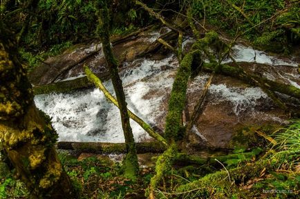 33 Cascade în districtul Lazarevsky din Sochi, limita naturală dzhegosh