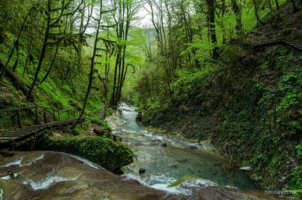 33 Cascade în districtul Lazarevsky din Sochi, limita naturală dzhegosh