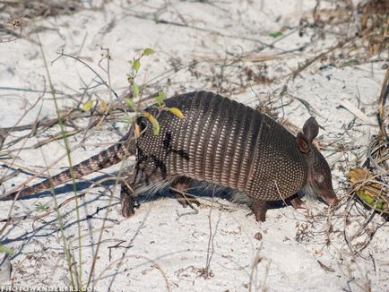 7 Motive pentru care ar trebui să locuiți în Florida