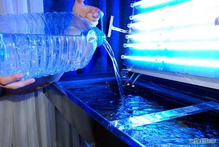 Aquaristics - metode de preparare a apei pentru adăugarea la acvariu