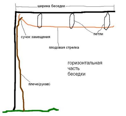 Олексій жваво - приватний сайт Пузенко натальи ларіасовни