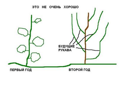 Олексій жваво - приватний сайт Пузенко натальи ларіасовни