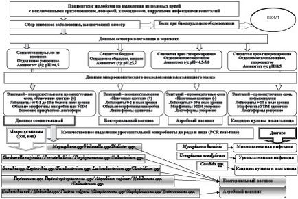 Algoritmi pentru diagnosticul diferențial al infecțiilor cu transmitere sexuală bazate pe evaluare