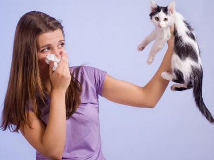 Allergiás köhögés gyermek tünetei és kezelése, mit kell tenni